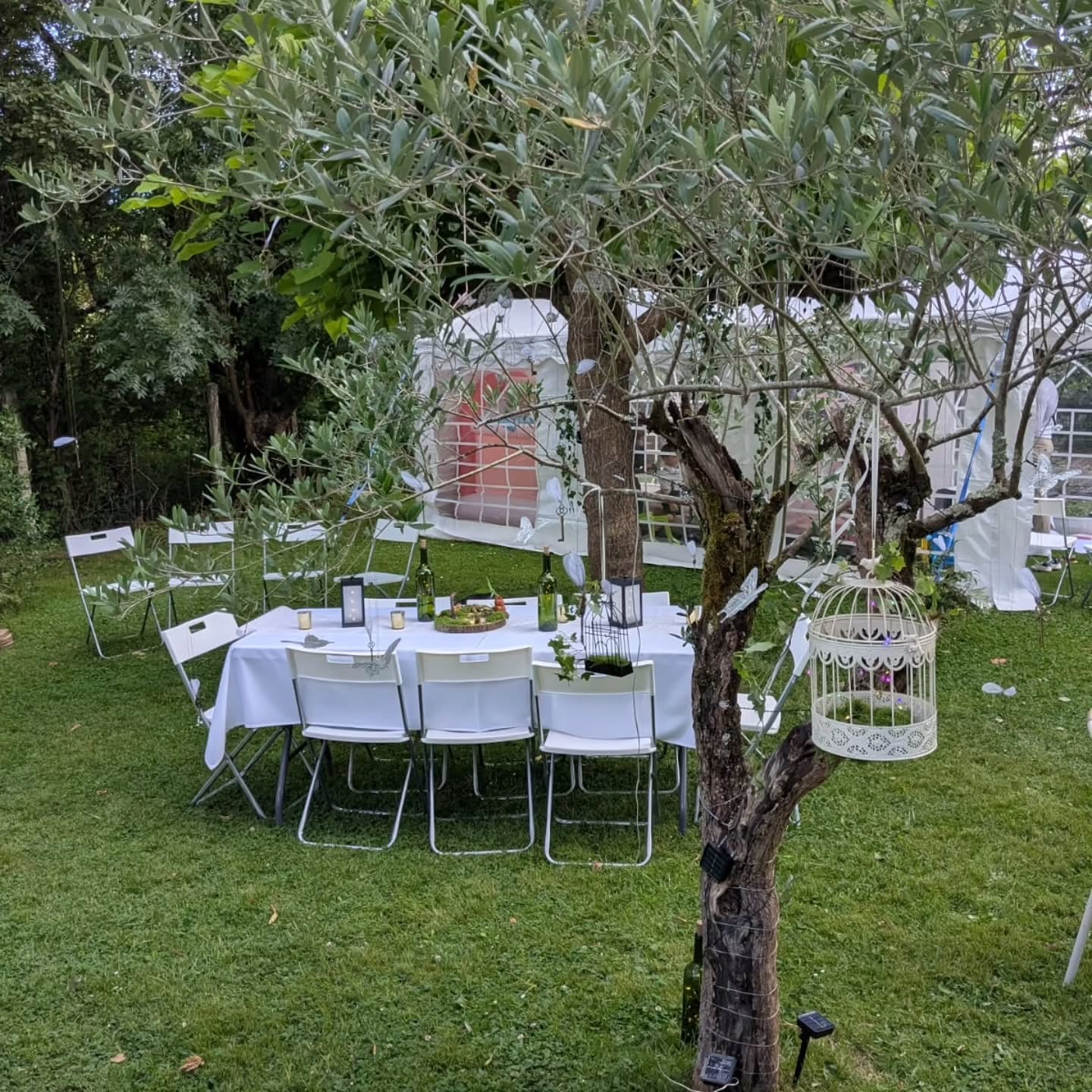 Table du dîner sous un olivier, chaises blanches et cage décorative
